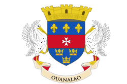 Saint Barthélemy flag