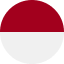 Indonesia flag